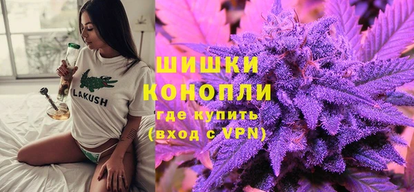 тгк Гусь-Хрустальный