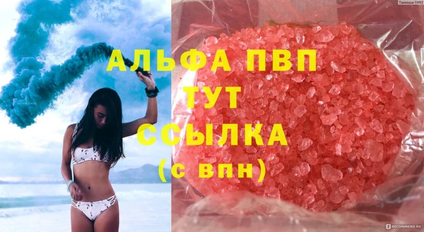 индика Горняк