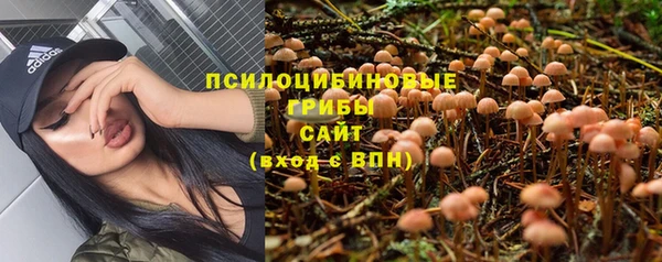 тгк Гусь-Хрустальный
