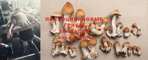 кокаин VHQ Гусев