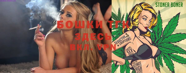 тгк Гусь-Хрустальный