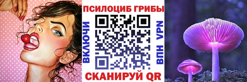 как найти   Мценск  гидра вход  мориарти формула  Псилоцибиновые грибы прущие грибы 
