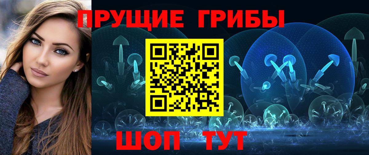 Галлюциногенные грибы Psilocybine cubensis Мценск